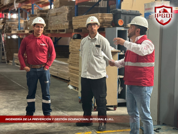 Auditorías, Inspecciones y Monitoreos
